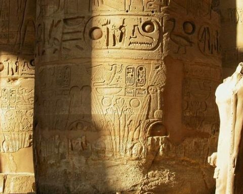 Découverte de 24 langues en or dans un cimetière antique près d'Alexandrie en Égypte