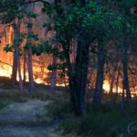 Des Canadair déployés pour lutter contre l’incendie de la forêt de Fontainebleau
