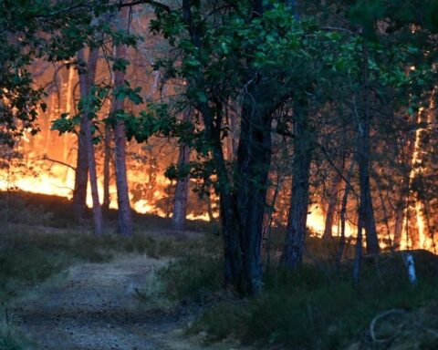 Des Canadair déployés pour lutter contre l’incendie de la forêt de Fontainebleau