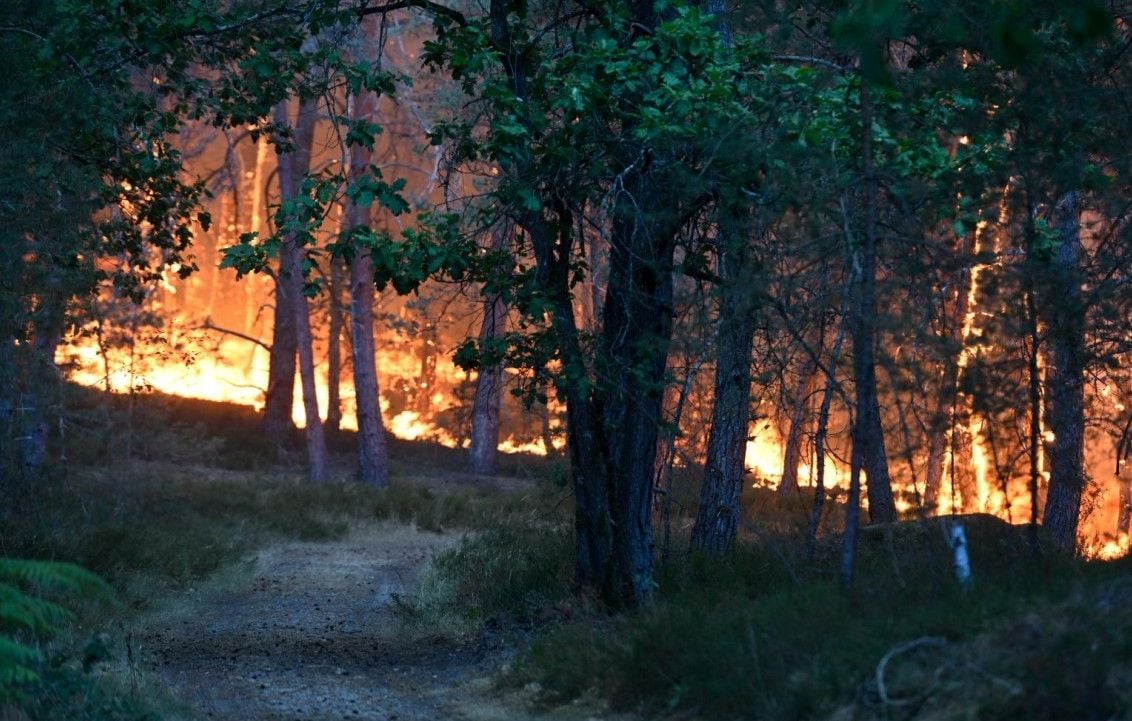 Des Canadair déployés pour lutter contre l’incendie de la forêt de Fontainebleau