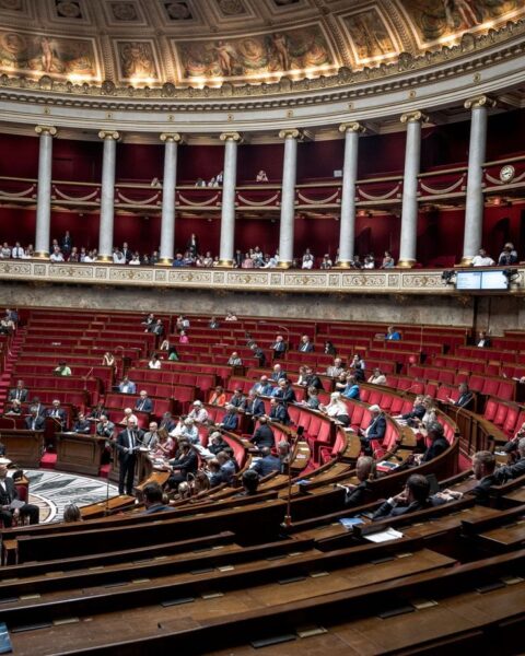 Des députés de gauche saisissent le Conseil constitutionnel pour contester la loi de programmation militaire