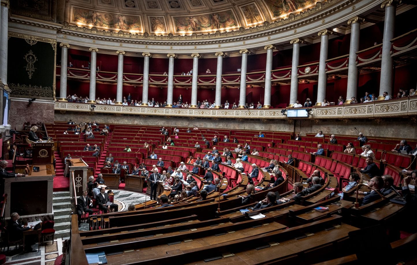 Des députés de gauche saisissent le Conseil constitutionnel pour contester la loi de programmation militaire