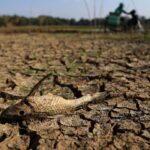 El Niño « Godzilla » pourrait frapper en 2026, alerte les climatologues sur ses conséquences mondiales