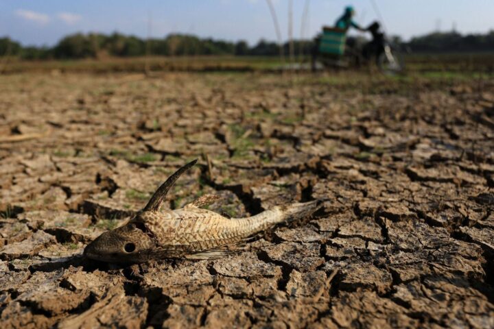 El Niño « Godzilla » pourrait frapper en 2026, alerte les climatologues sur ses conséquences mondiales