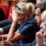 Elon Musk soutient Marine Le Pen : un parrainage controversé avant la présidentielle 2027