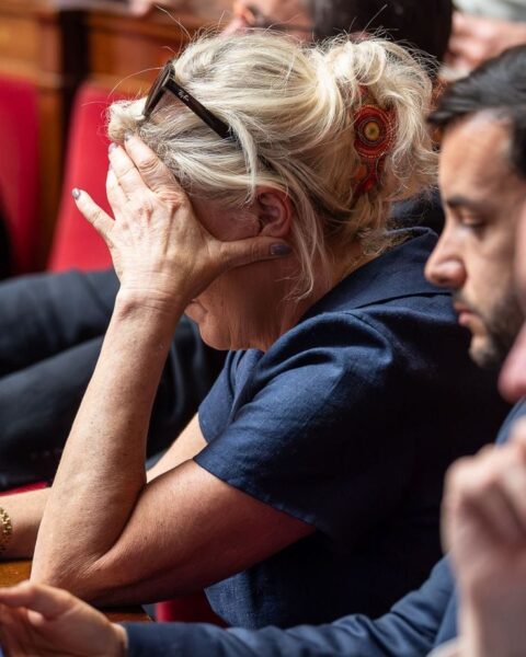 Elon Musk soutient Marine Le Pen : un parrainage controversé avant la présidentielle 2027