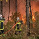 Engie alloue 25 millions d'euros pour la reforestation des zones touchées par les incendies en France
