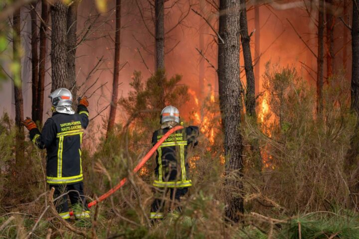 Engie alloue 25 millions d'euros pour la reforestation des zones touchées par les incendies en France