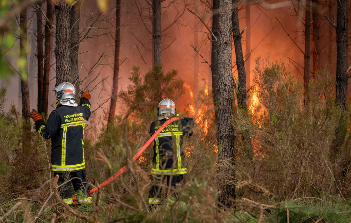 Engie alloue 25 millions d'euros pour la reforestation des zones touchées par les incendies en France