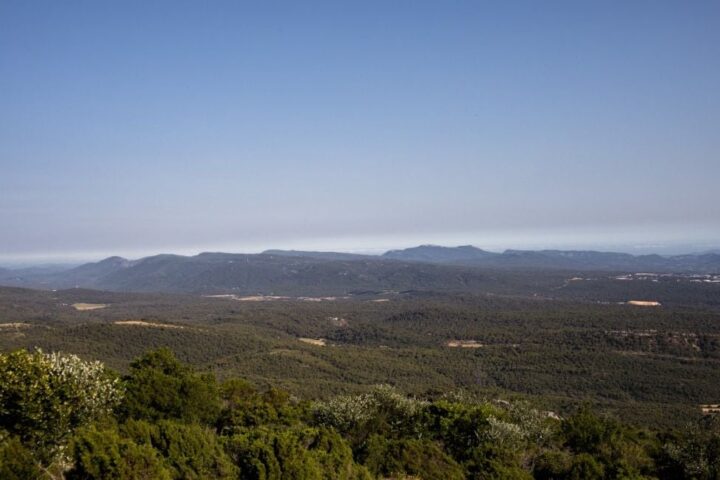Fermeture des massifs dans les Bouches-du-Rhône en raison d'un risque d'incendie « très sévère »