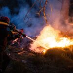 Incendie à Fontainebleau : le feu est fixé, mais les pompiers restent en alerte