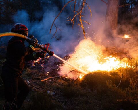 Incendie à Fontainebleau : le feu est fixé, mais les pompiers restent en alerte