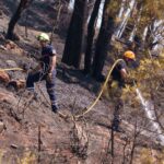 Incendie dans le Var : 2.550 hectares ravagés, le feu contenu malgré des points chauds persistants