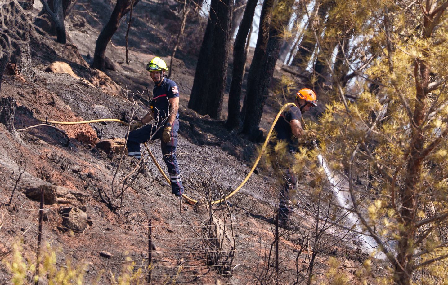 Incendie dans le Var : 2.550 hectares ravagés, le feu contenu malgré des points chauds persistants