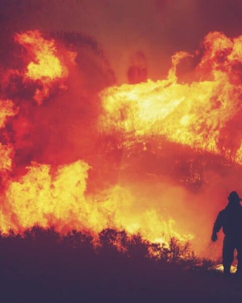Incendie de Fontainebleau : les conséquences financières d'une crise de cette envergure.