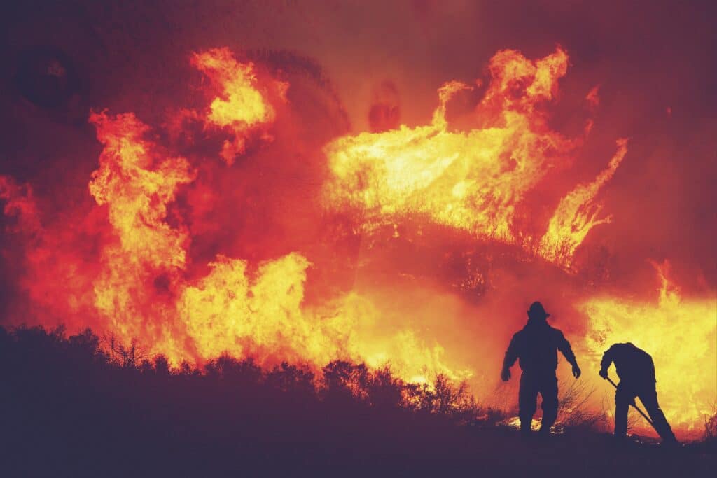 Incendie de Fontainebleau : les conséquences financières d'une crise de cette envergure.
