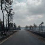 Incendie en Gironde : aucun lien avec les projets de centrale photovoltaïque selon les enquêtes