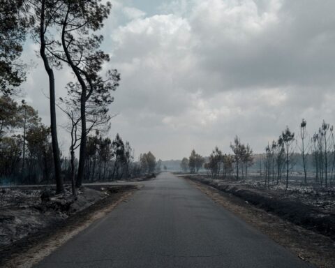 Incendie en Gironde : aucun lien avec les projets de centrale photovoltaïque selon les enquêtes