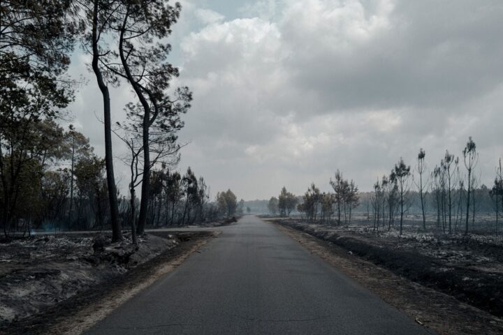 Incendie en Gironde : aucun lien avec les projets de centrale photovoltaïque selon les enquêtes