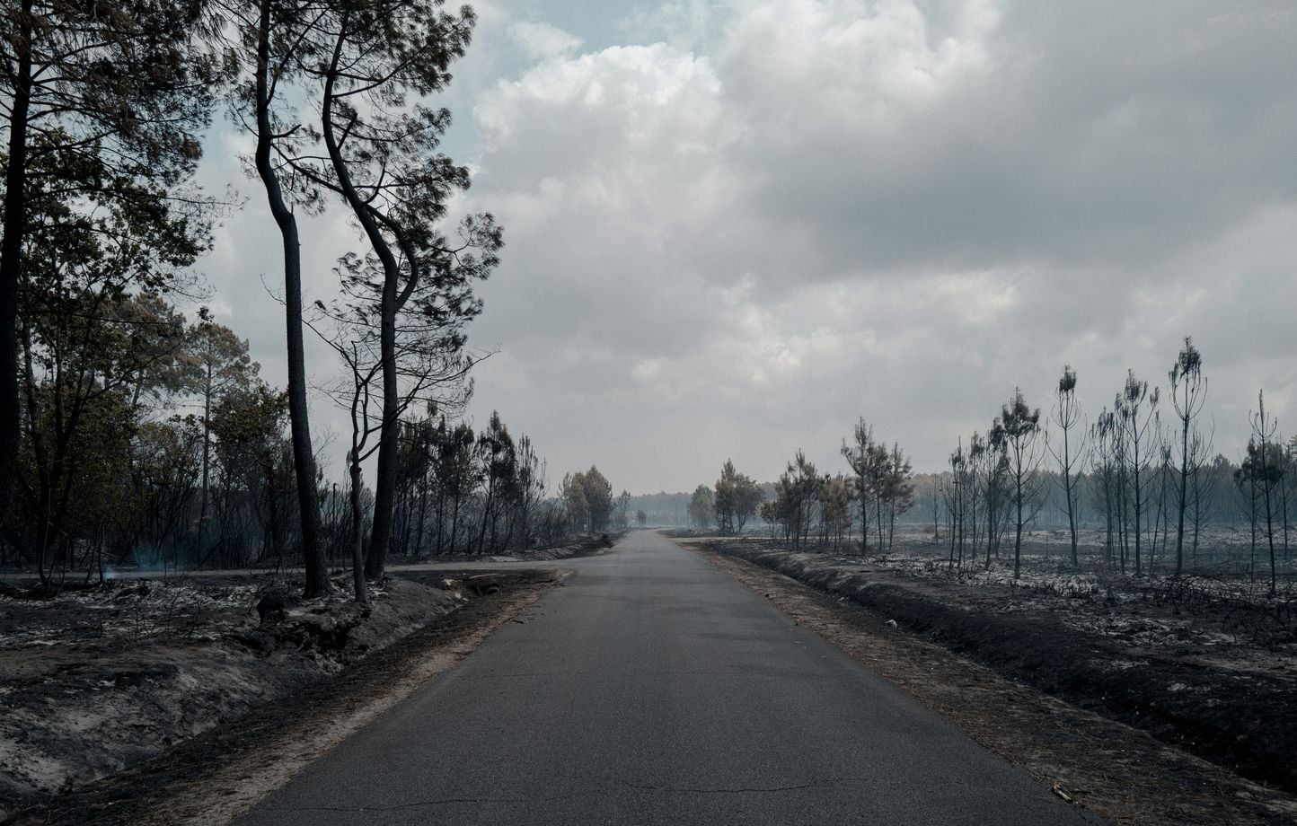 Incendie en Gironde : aucun lien avec les projets de centrale photovoltaïque selon les enquêtes