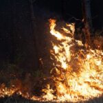 Incendie en Gironde : le feu stabilisé mais pas encore fixé, 220.000 évacués depuis mercredi