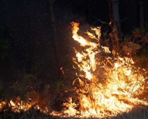 Incendie en Gironde : le feu stabilisé mais pas encore fixé, 220.000 évacués depuis mercredi