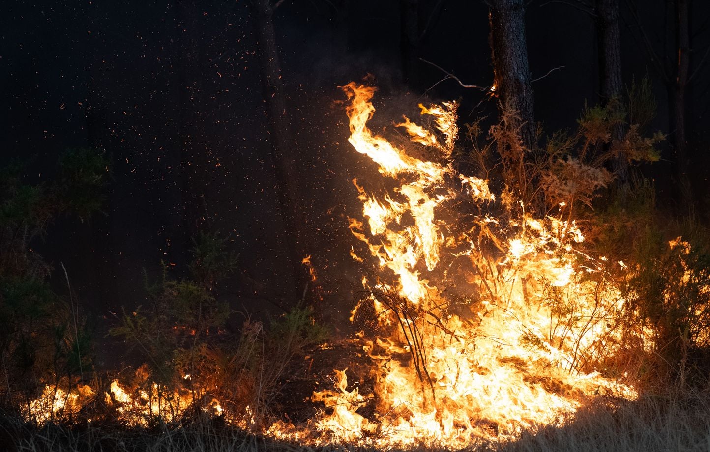 Incendie en Gironde : le feu stabilisé mais pas encore fixé, 220.000 évacués depuis mercredi