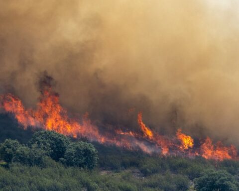 Incendie majeur à 100 km au nord de Madrid : des agriculteurs secourent des habitants face à la lenteur des pompiers