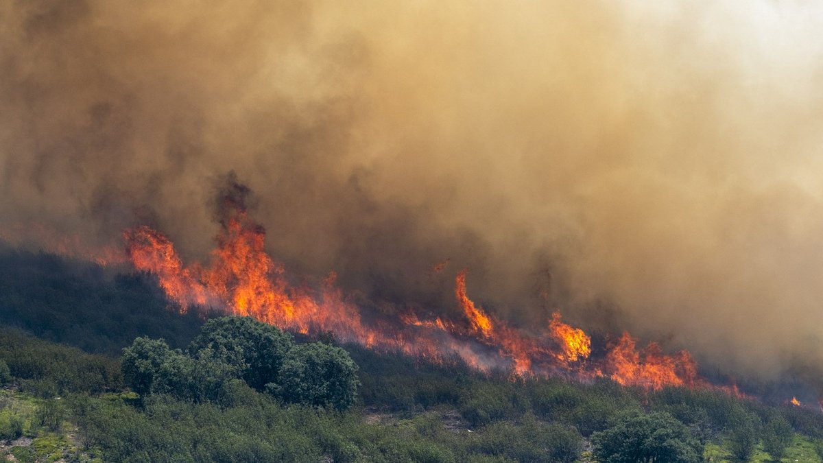 Incendie majeur à 100 km au nord de Madrid : des agriculteurs secourent des habitants face à la lenteur des pompiers