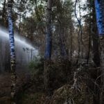 Incendies à Fontainebleau : la situation se stabilise malgré des réactivations de points chauds