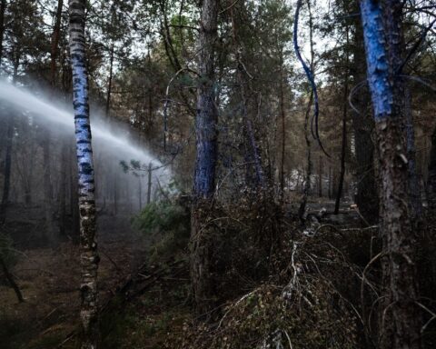 Incendies à Fontainebleau : la situation se stabilise malgré des réactivations de points chauds
