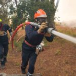 Incendies autour de Marseille : 27 feux déclarés et 2.200 évacuations dans le Var