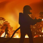 Incendies de forêt en France : dangers pour la santé et l'environnement face au changement climatique