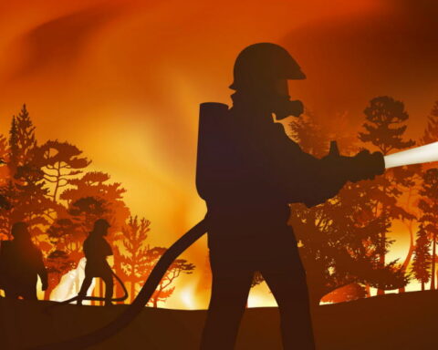 Incendies de forêt en France : dangers pour la santé et l'environnement face au changement climatique