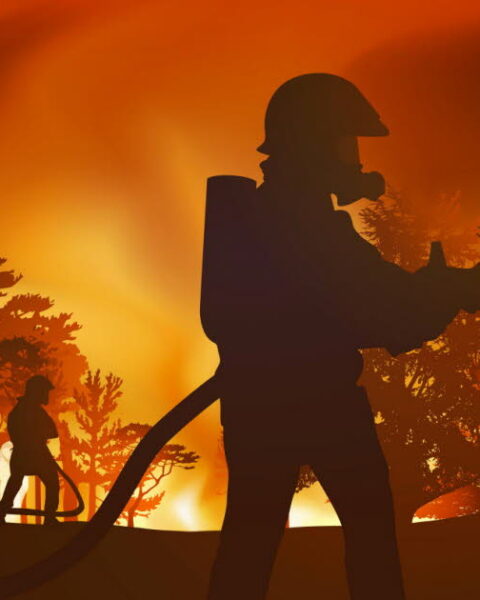 Incendies de forêt en France : dangers pour la santé et l'environnement face au changement climatique