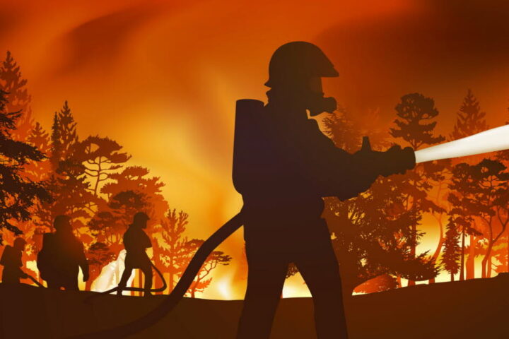 Incendies de forêt en France : dangers pour la santé et l'environnement face au changement climatique