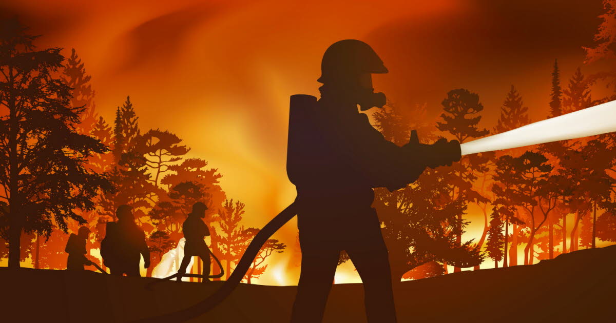 Incendies de forêt en France : dangers pour la santé et l'environnement face au changement climatique