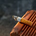 Incendies de forêts : l'augmentation des amendes pour les jeteurs de mégots en Europe