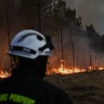 Incendies en France : 115 000 hectares brûlés en 2026, un bilan alarmant selon Laurent Nuñez