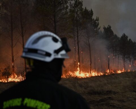 Incendies en France : 115 000 hectares brûlés en 2026, un bilan alarmant selon Laurent Nuñez