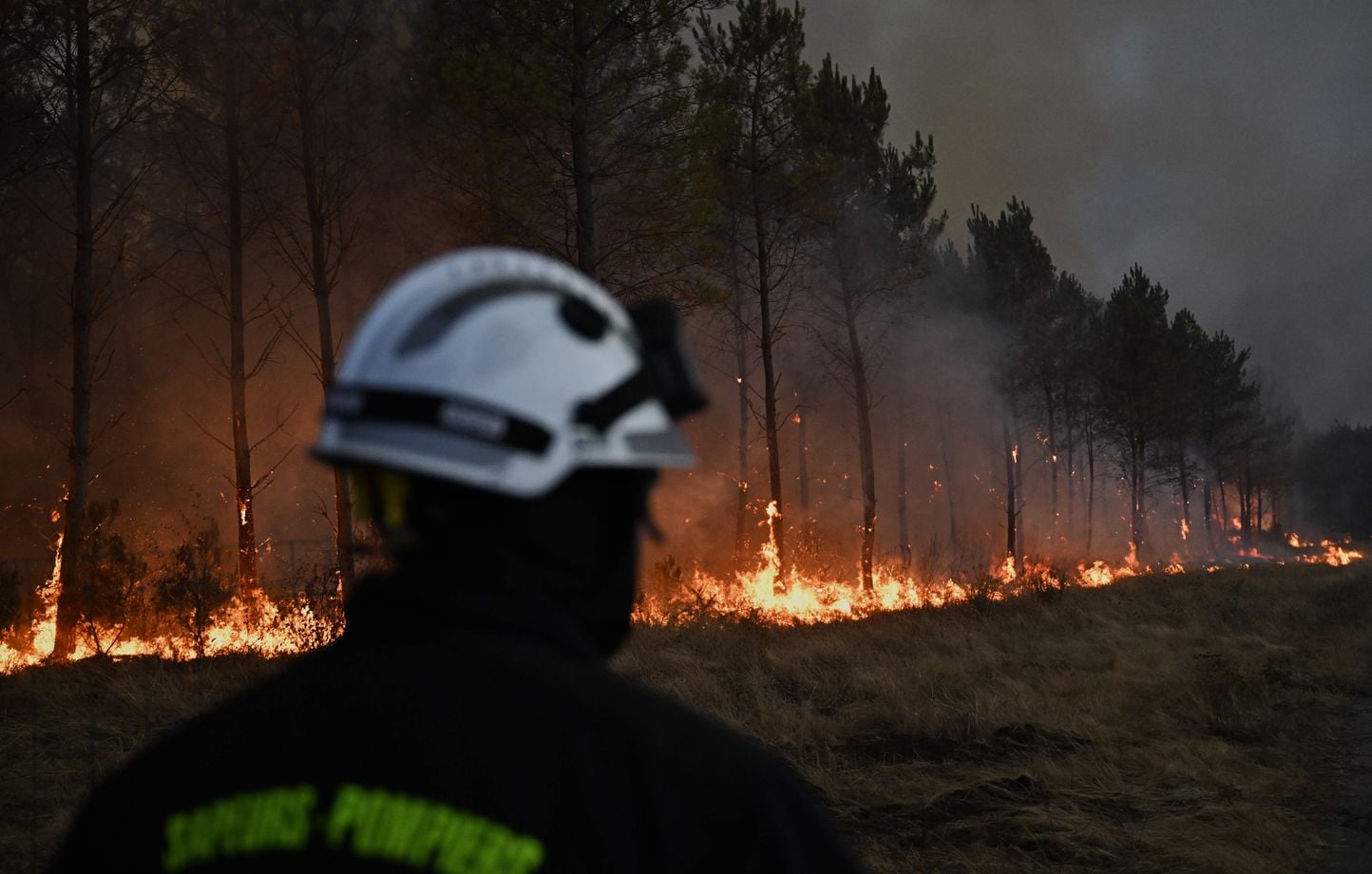 Incendies en France : 115 000 hectares brûlés en 2026, un bilan alarmant selon Laurent Nuñez