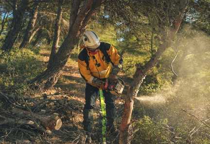 Incendies en France : le débroussaillement des forêts devient un enjeu politique majeur