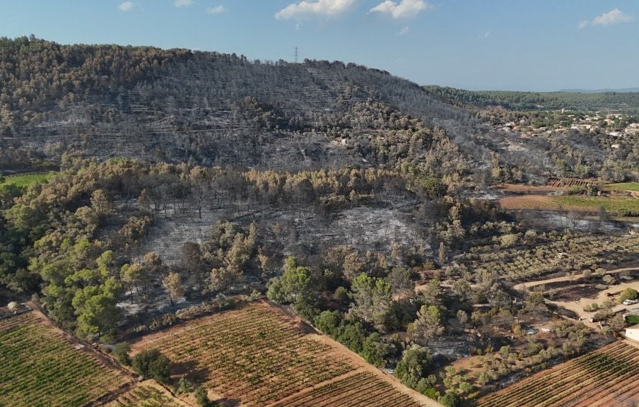 Incendies en France : un record de surfaces brûlées atteint à la mi-juillet 2026