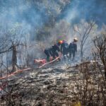 Incendies en Haute-Corse : 400 hectares brûlés, l’intervention des pompiers se poursuit
