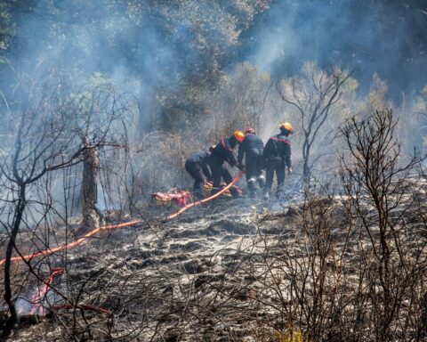 Incendies en Haute-Corse : 400 hectares brûlés, l’intervention des pompiers se poursuit