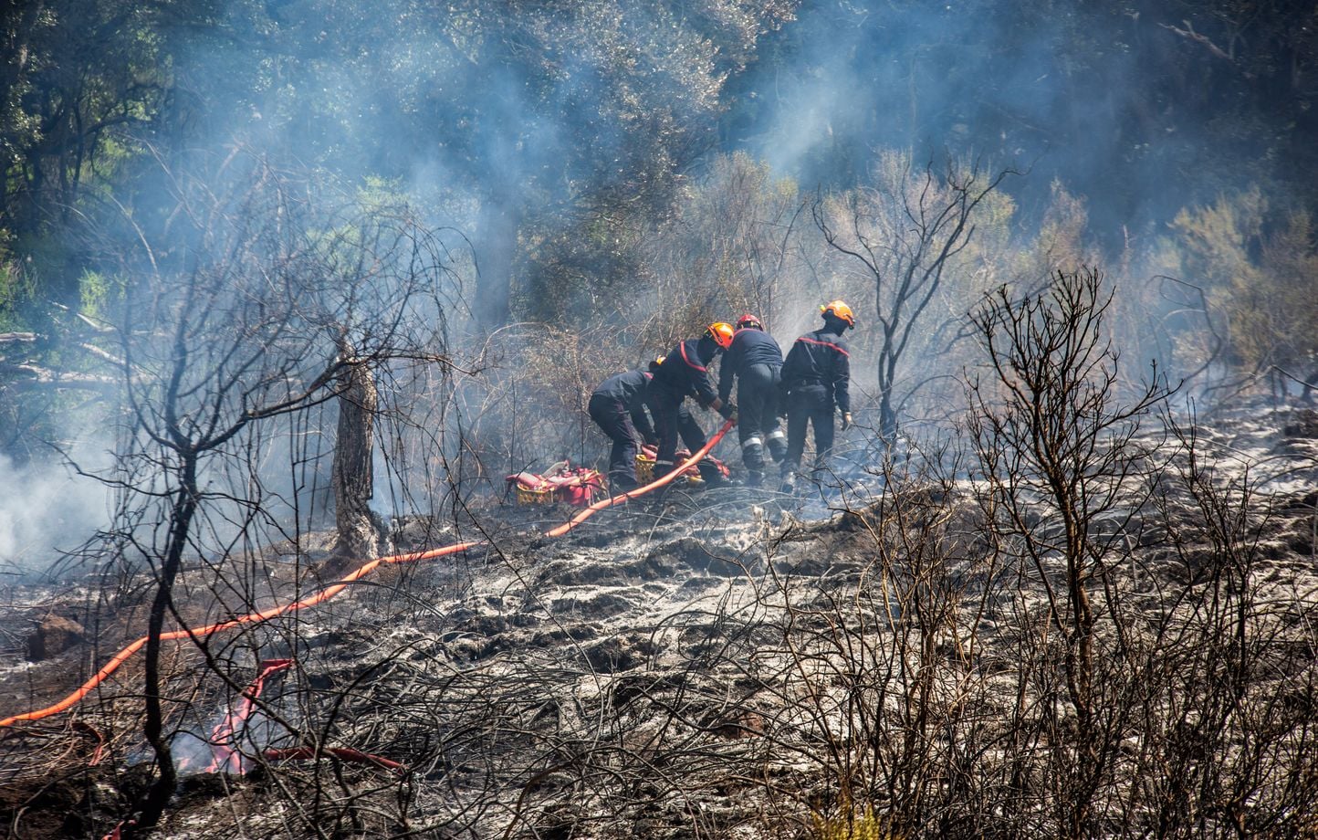Incendies en Haute-Corse : 400 hectares brûlés, l’intervention des pompiers se poursuit