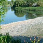 La dépollution de l'eau potable face aux pesticides et PFAS pourrait coûter jusqu'à 5,7 milliards d'euros par an