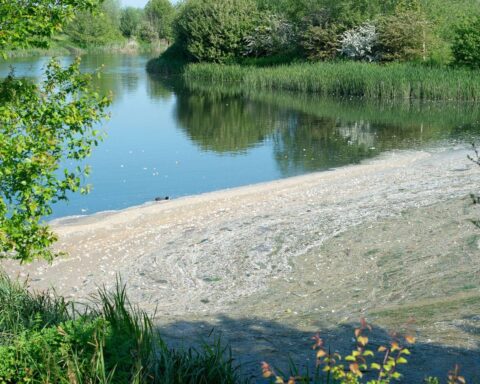 La dépollution de l'eau potable face aux pesticides et PFAS pourrait coûter jusqu'à 5,7 milliards d'euros par an