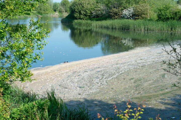 La dépollution de l'eau potable face aux pesticides et PFAS pourrait coûter jusqu'à 5,7 milliards d'euros par an
