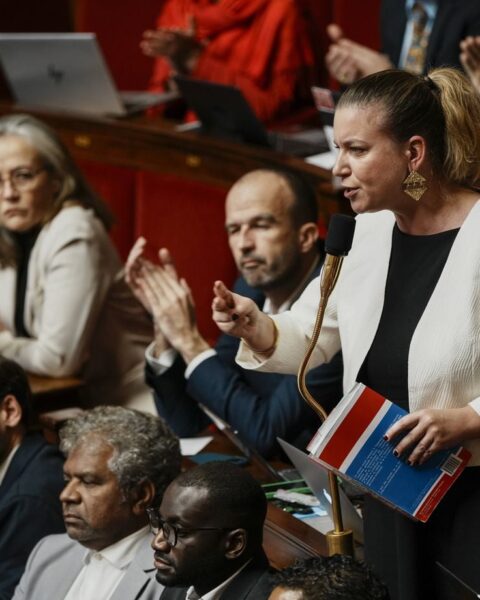 La France insoumise saisit le Conseil constitutionnel contre la loi sur l'accès aux réseaux sociaux pour les moins de 15 ans